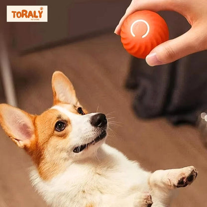 Smart Electronic Interactive Dog Ball