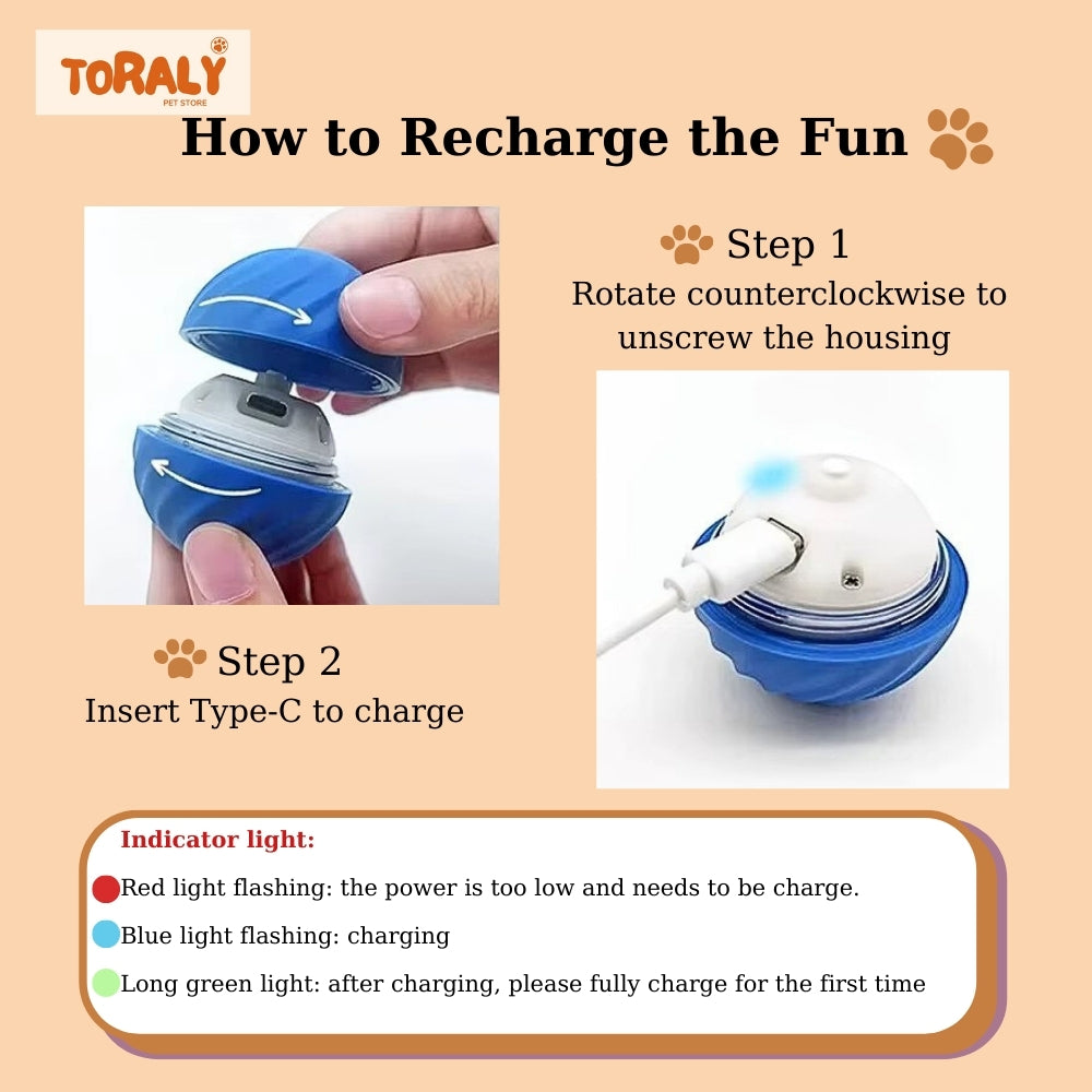 Smart Electronic Interactive Dog Ball