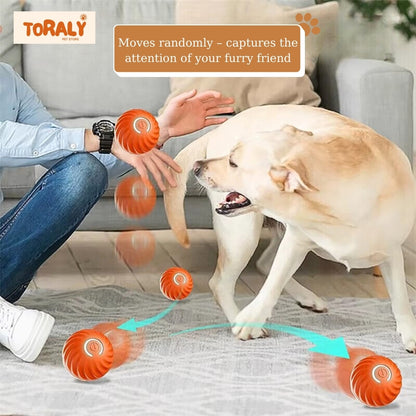 Smart Electronic Interactive Dog Ball